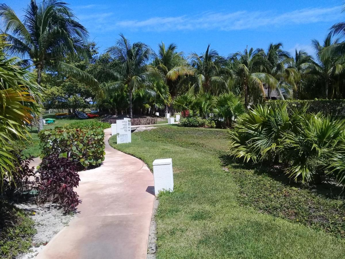 Swim The Caribbean & Work With A View Appartement Cancún Buitenkant foto