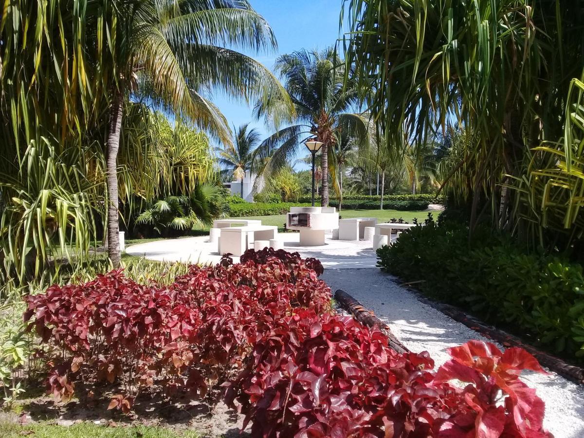 Swim The Caribbean & Work With A View Appartement Cancún Buitenkant foto