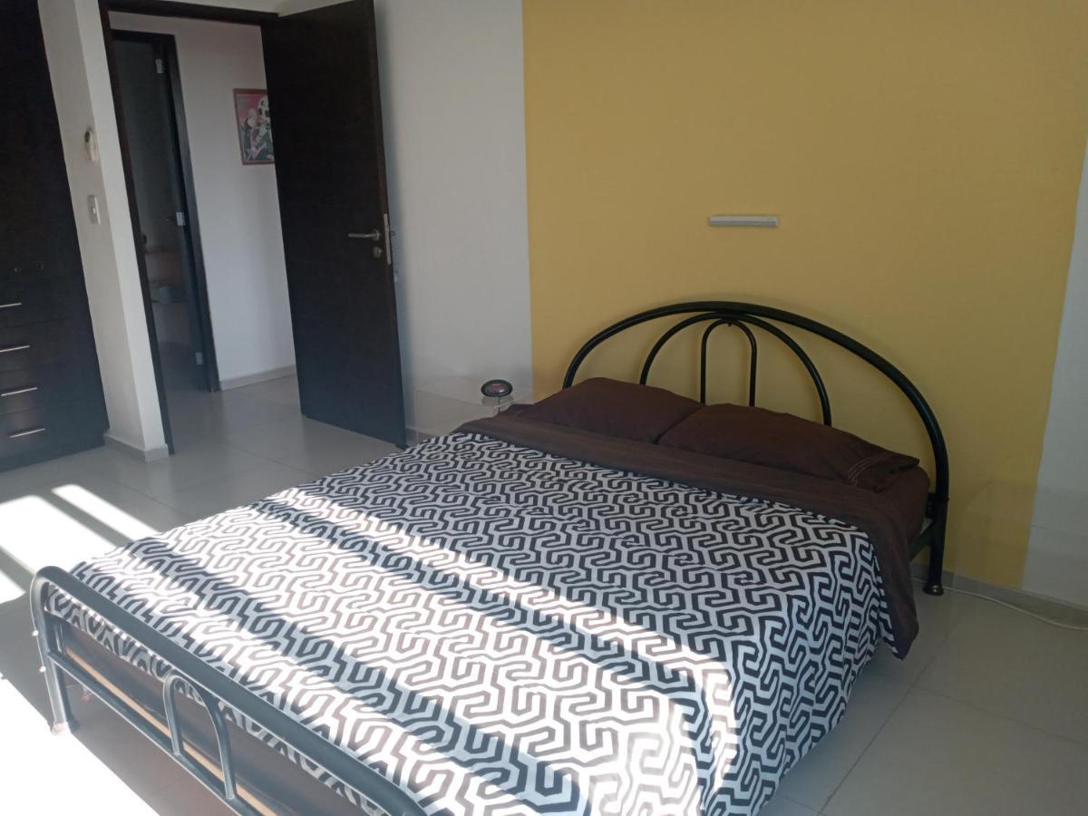 Swim The Caribbean & Work With A View Appartement Cancún Buitenkant foto