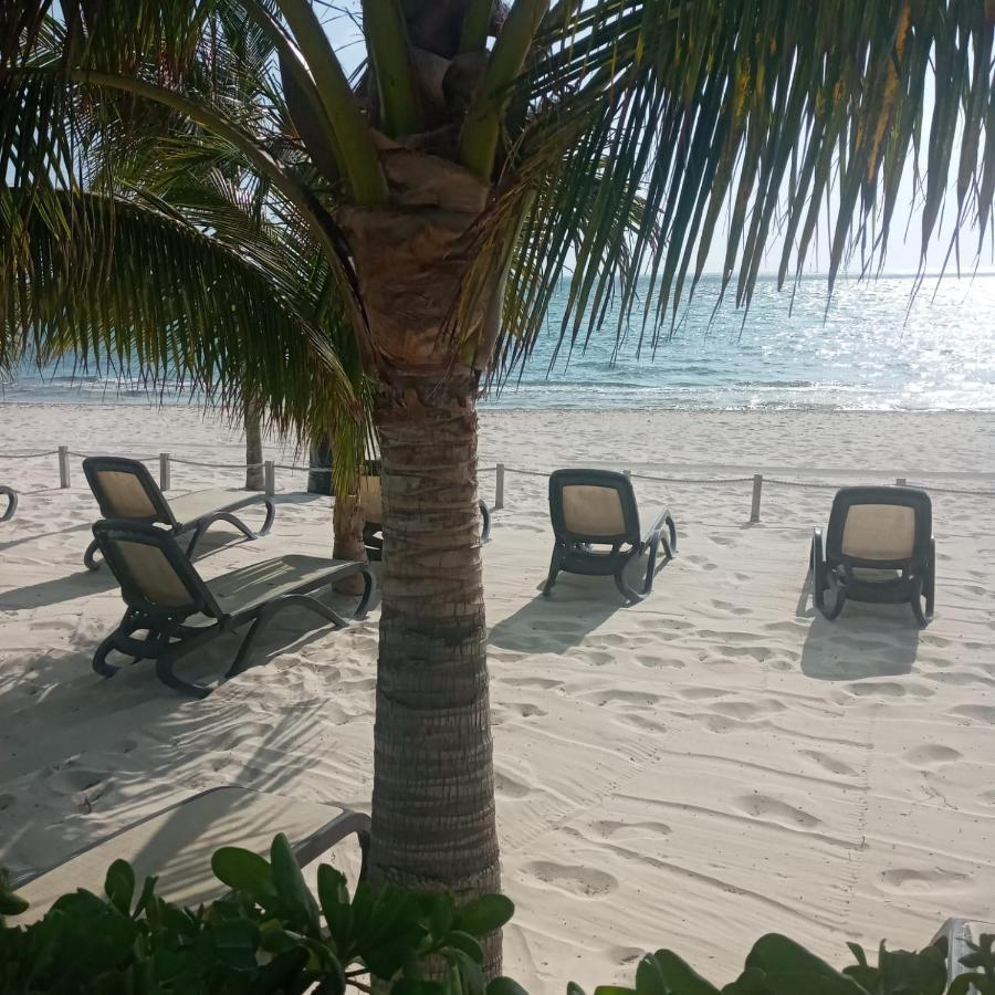Swim The Caribbean & Work With A View Appartement Cancún Buitenkant foto